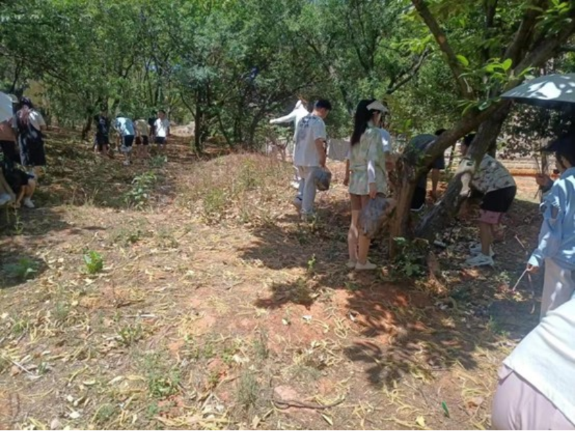 7444498301a48ddb02e5e2ae74f68a74 7444498301a48ddb02e5e2ae74f68a74