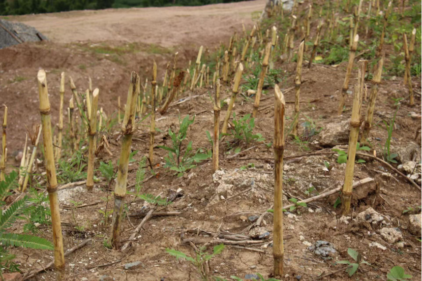 ad08f8dee1fd211a67170c71a79884f7