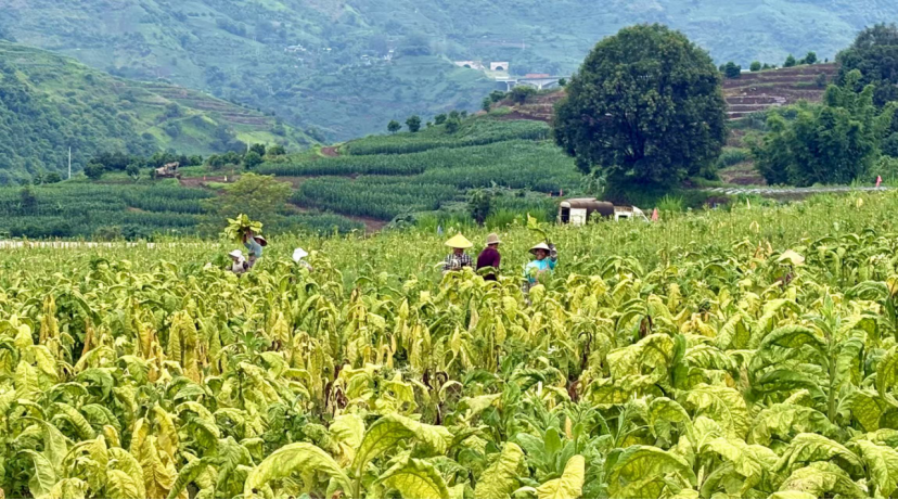 7c8fb941a4ea313601fd6e5c97e07159