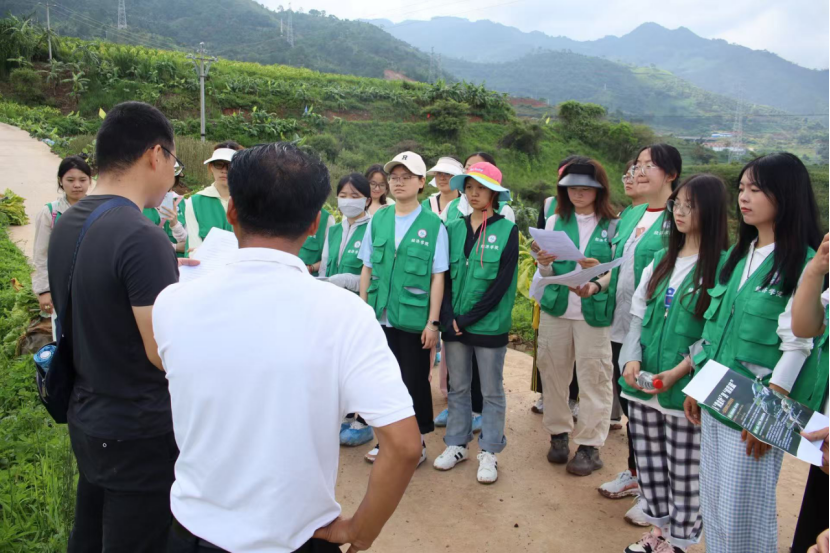 2c91042966991a8dbcd2d38593d56fc3