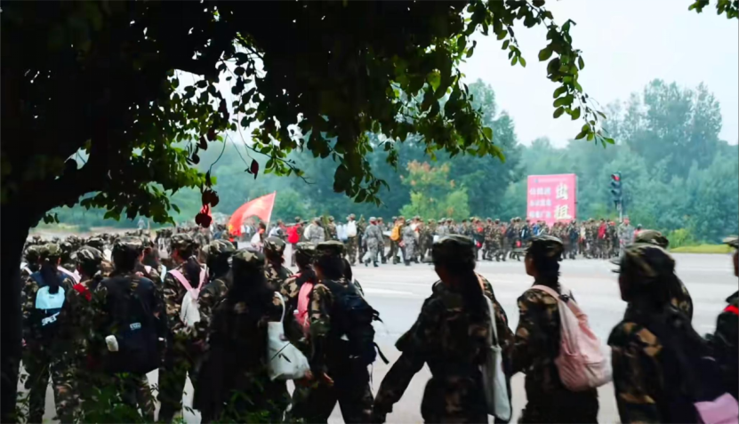 8c8f87284ec7d2cb1ba466e2ec249420